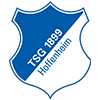 Hoffenheim Logo Website